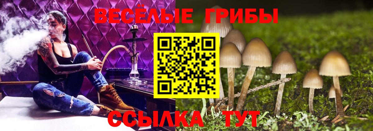 Тавда  Галлюциногенные грибы Psilocybe  Галлюциногенные грибы Cubensis  Вход с VPN 