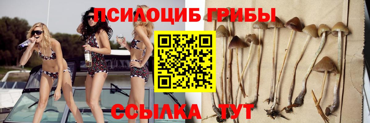 Галлюциногенные грибы MAGIC MUSHROOMS Тавда